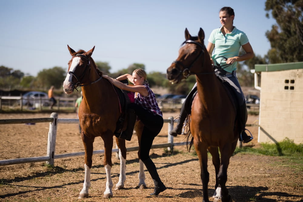 Female friends preparing for horse riding